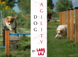  Agility: Zabawa i trening na psim placu zabaw